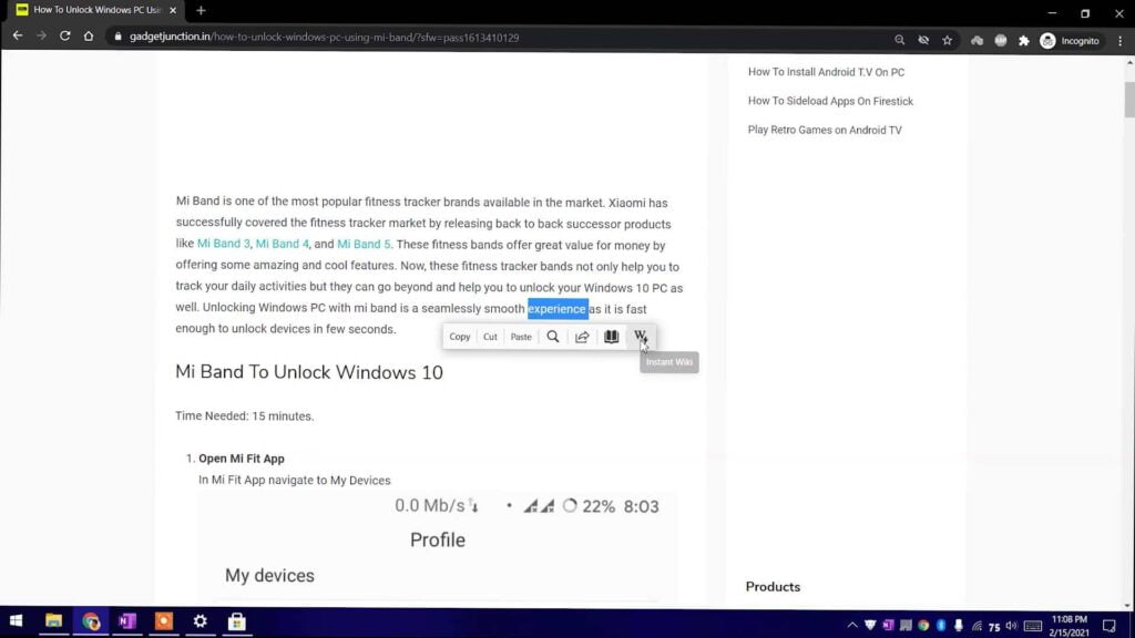 Pantherbar On Windows 10