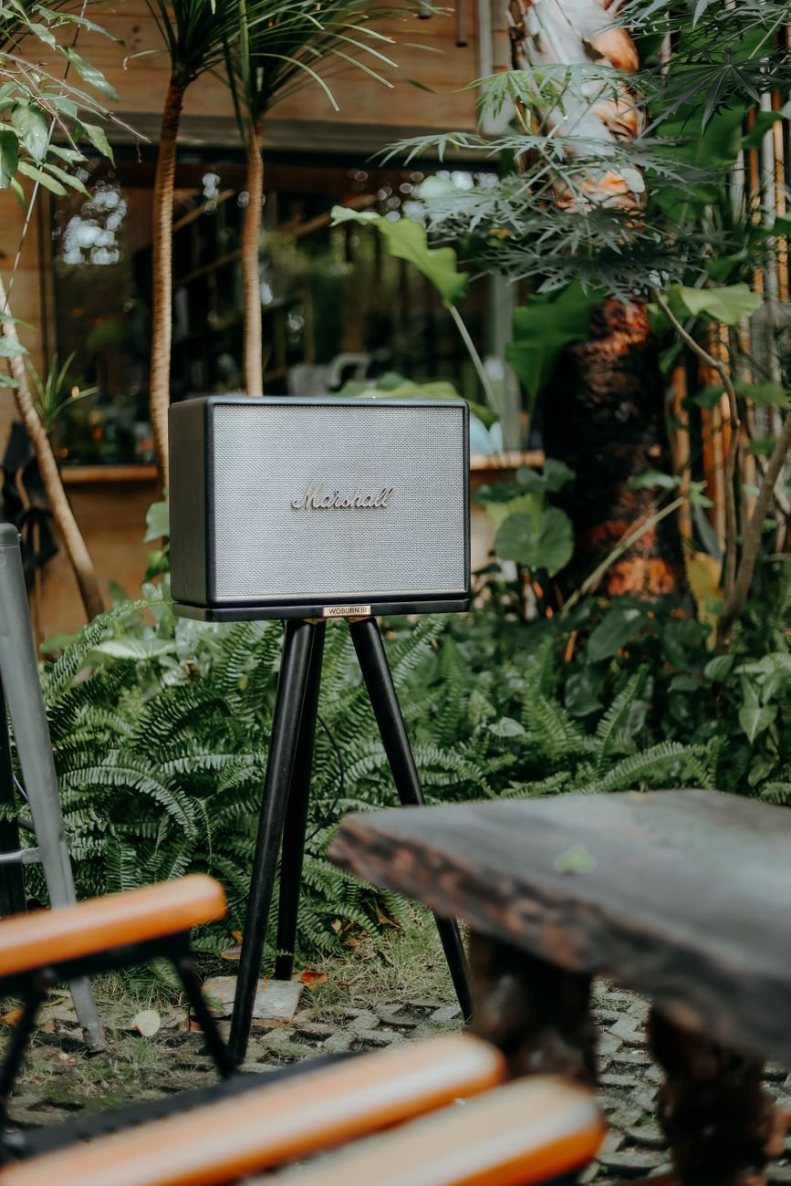 retro speaker in lush indoor jungle setting